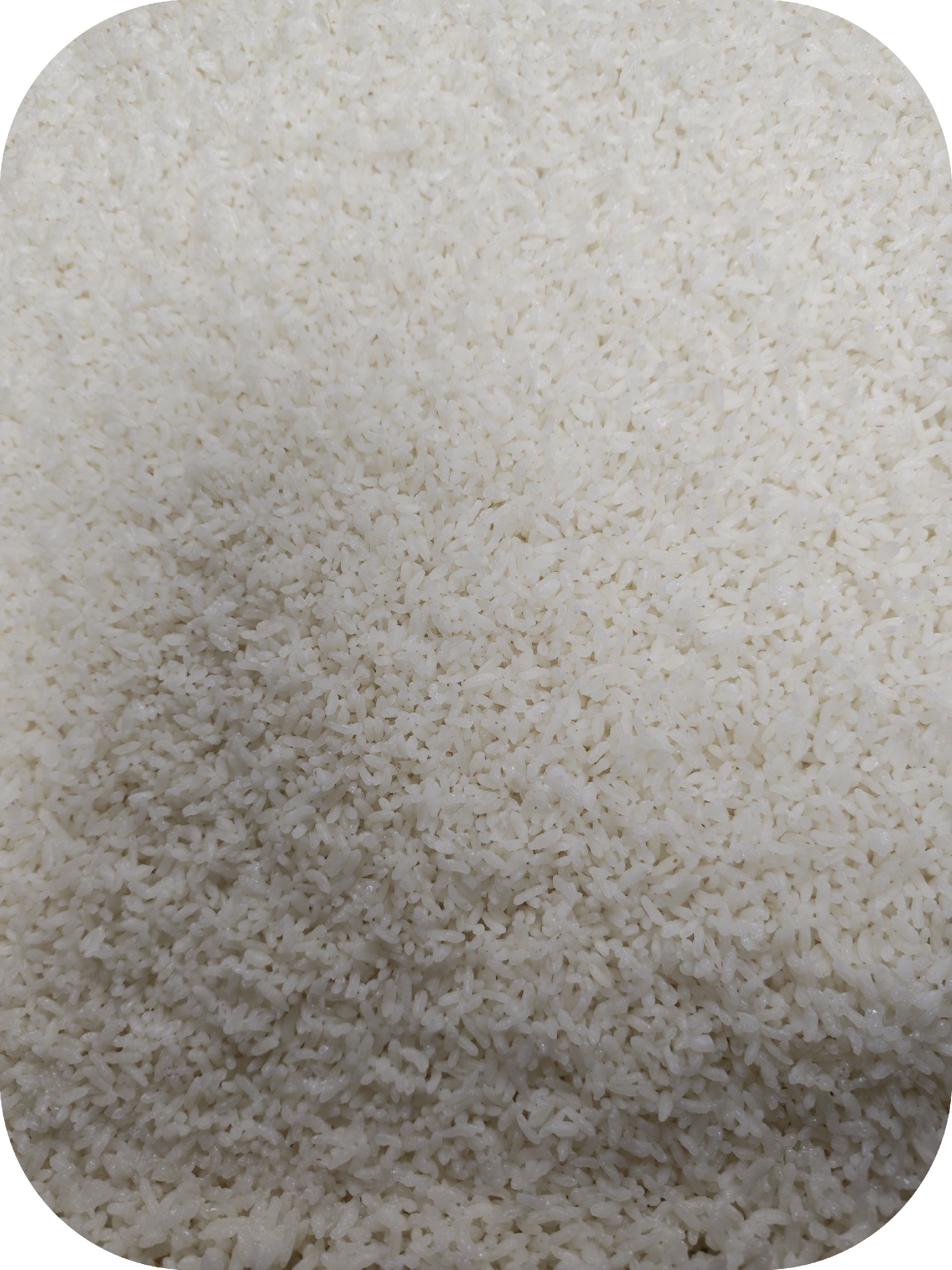 米饭制作基准卡